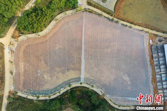 航拍广西建设中的澳洲淡水龙虾基地 年产值预计达100万元