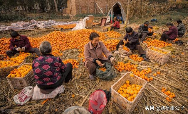 为什么人人唱衰的预制菜，却得到了国家政策的大力支持？