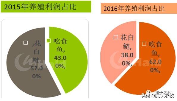 这技术牛逼！下肥成本减少37%，花鲢产量反而狂增10万斤