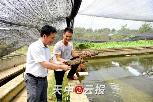 张春节 蚂蟥养殖闯出致富路