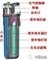 废弃台阶还能这样玩？这个改造我给满分