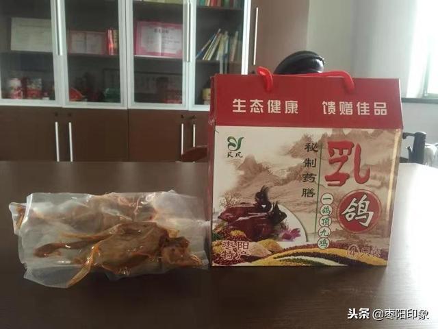 湖北襄阳：小肉鸽也能养成大产业，年销售达千万元！