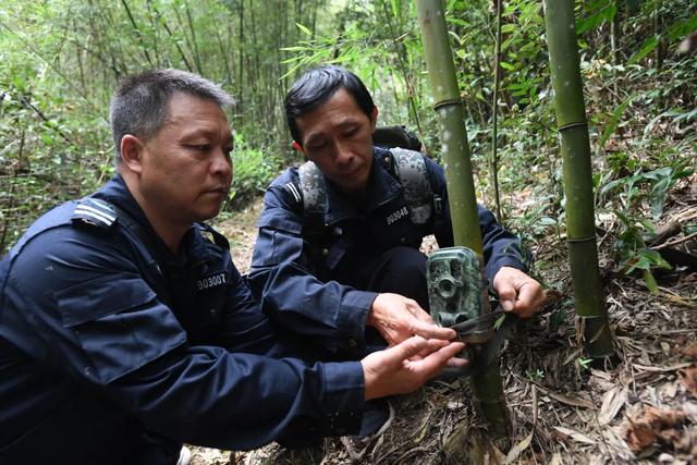 大爱！他们手握“物种仓库”钥匙，守护宜春这个神奇的地方