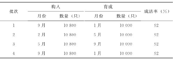 蛋鸡养殖，蛋鸡高产经营管理技术