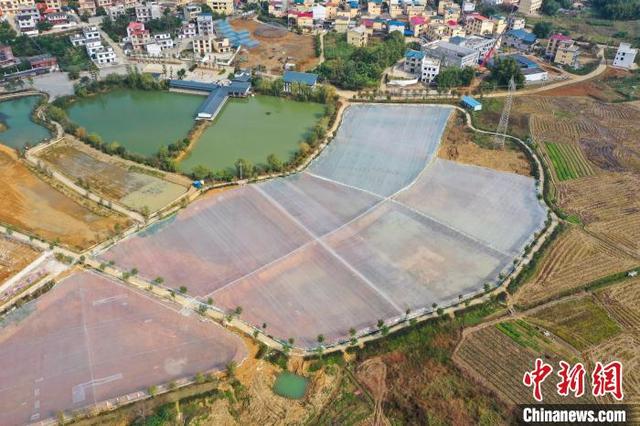 航拍广西建设中的澳洲淡水龙虾基地 年产值预计达100万元