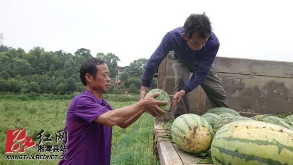 湘潭县：新型职业农民为乡村振兴添活力