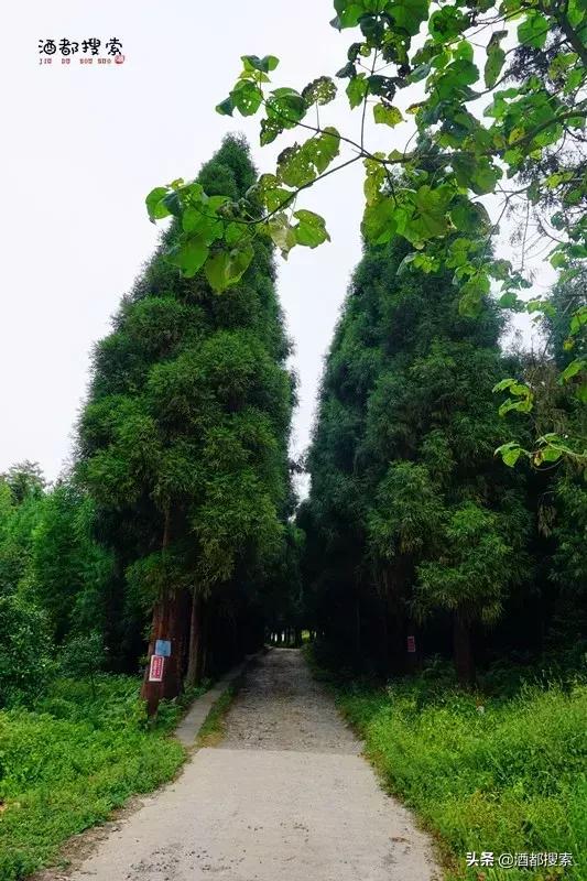 幸福苗寨，美丽仙峰