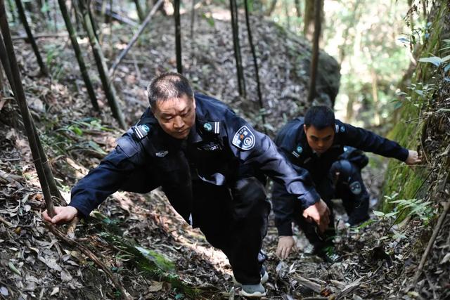 大爱！他们手握“物种仓库”钥匙，守护宜春这个神奇的地方