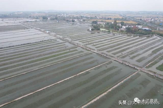 无为螃蟹，走出去！