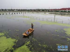 浙江螃蟹养殖基地(湖州吴兴：万亩湖蟹迎丰收)