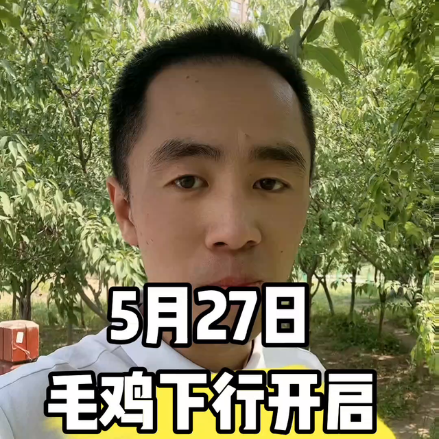 毛鸡下行通道开启，随着成本线下移，那没有毛鸡的高价支撑...