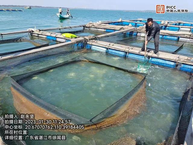 湛江落地2023年首单海水网箱养殖保险，助力“海洋牧场”高质量发展