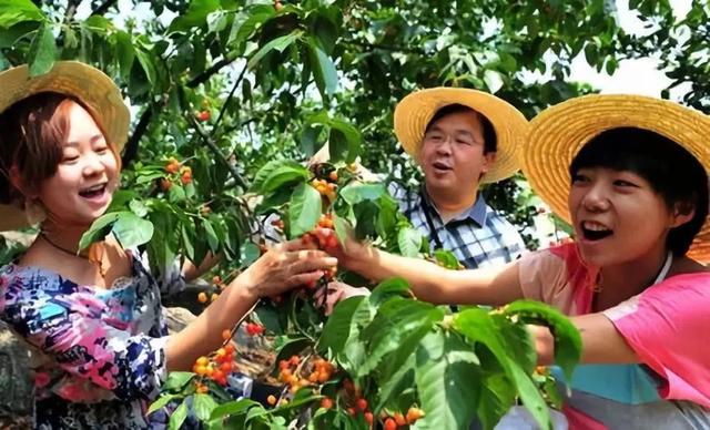 游荐 │ 摘水果、品野味、住农家、垂钓、自助烧烤等……在这里，让你找回童年采摘乐趣！