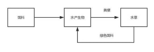 生态养殖以及其好处，了解一下！