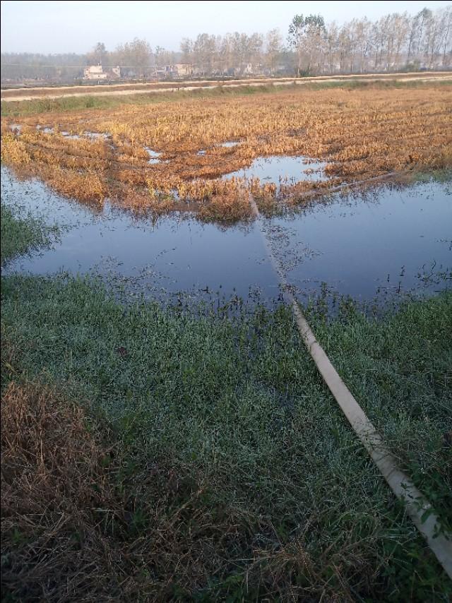 辟谣：小龙虾冬季是冻死的！这种说法不全面，还有其他花样死法