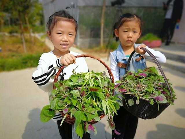 自建蔬菜大棚和动物园，汶上的这两所学校火了