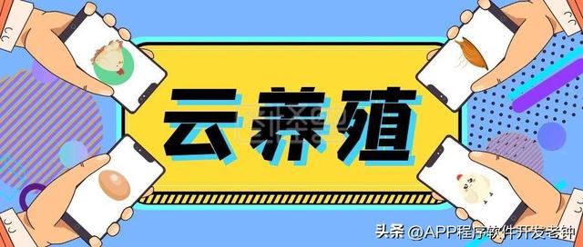 我的牛羊养在“云”上：“90后”创新养殖模式实现年营收7600w