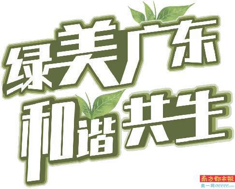 连南寻鲵记：野生娃娃鱼究竟去哪了？