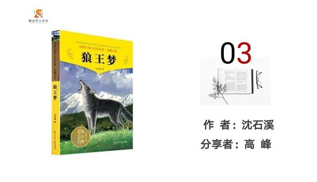 市人才办业务比武大练兵之读书分享会书目之三《狼王梦》