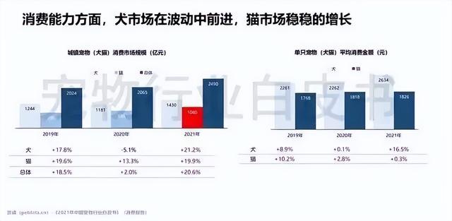 2022宠物行业五大最具含金量证书