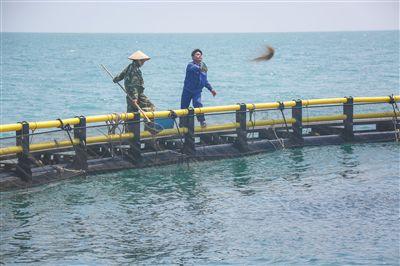 海南：一条金鲳鱼的大数据之旅