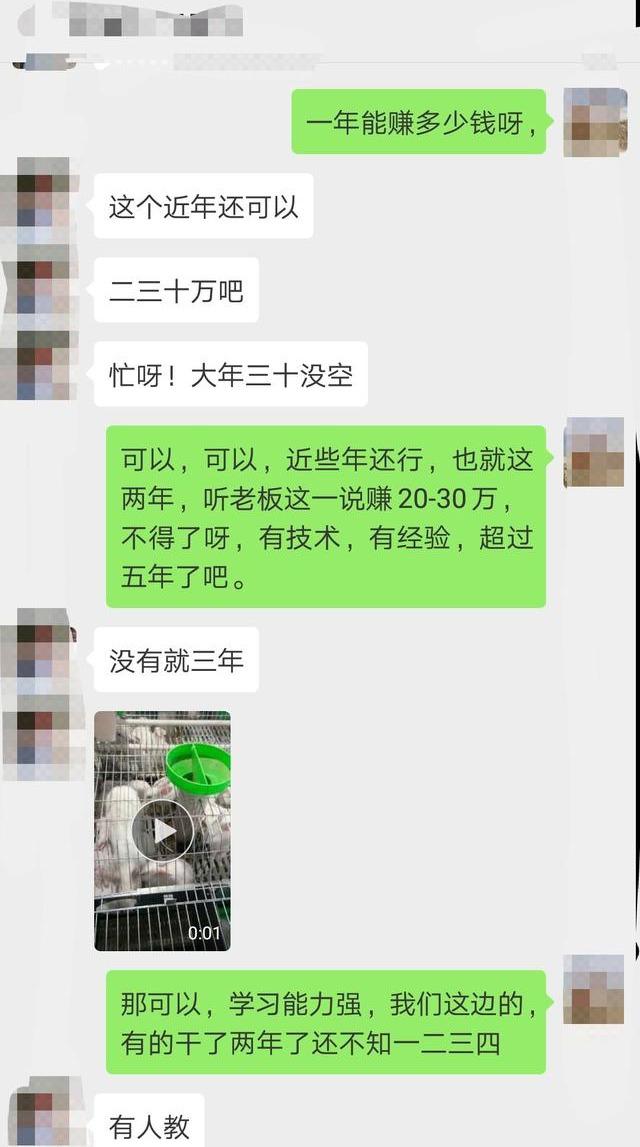 别人养兔子一年赚20~30万，为什么你不可以？请思考以下几点