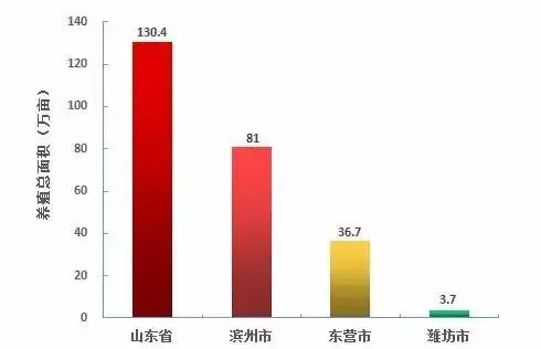 山东对虾养殖发展迅猛，亩效益突破4800元！但病害抬头，如何破局