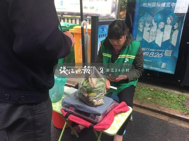 浙大教授“捡”垃圾打造昆虫农场 专门消灭餐厨垃圾