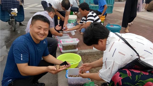 河南男子捉金蝉，日入近千元，背后是“暗流涌动”的金蝉养殖市场