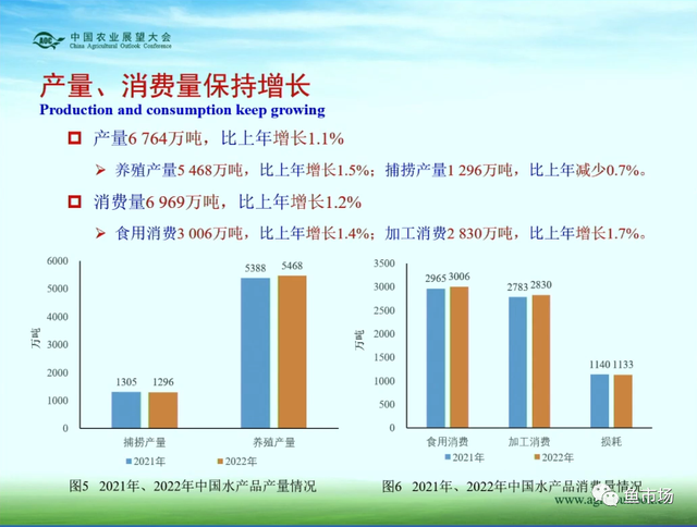 消费潜力巨大？产量稳中有涨？未来十年国内水产品市场趋势如何？