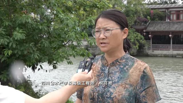 增殖放流！15万尾本土鱼苗“安家”柏条河