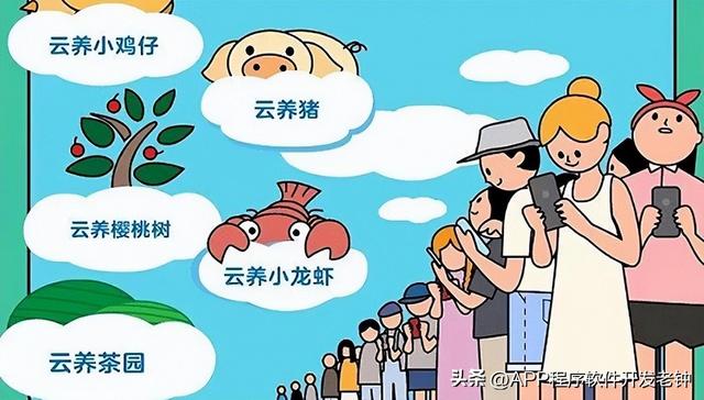 我的牛羊养在“云”上：“90后”创新养殖模式实现年营收7600w