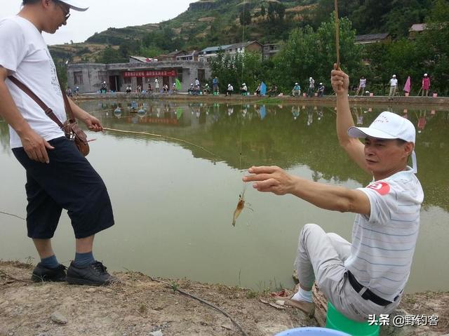 龙虾好钓还是草虾好钓？野钓客教你钓草虾！