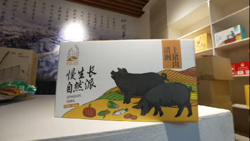 为黑猪插上科技“金翅膀”的乡村振兴特派员