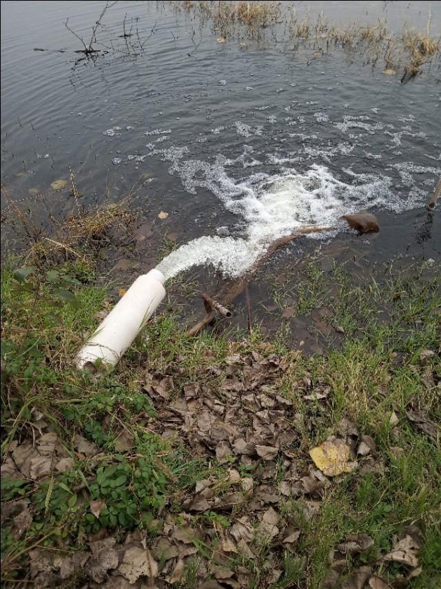 辟谣：小龙虾冬季是冻死的！这种说法不全面，还有其他花样死法