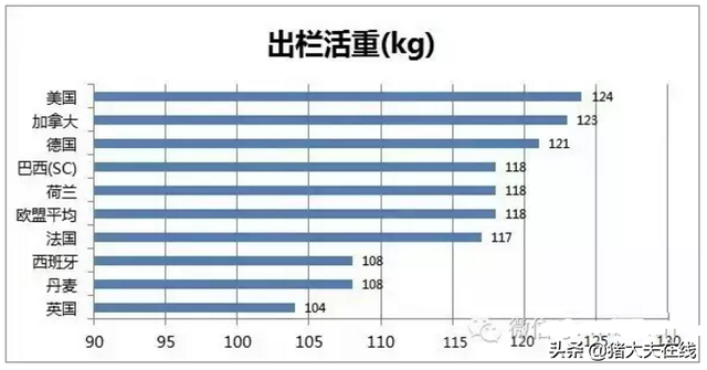 弃其所短，取其所长---世界各国养猪数据大分享