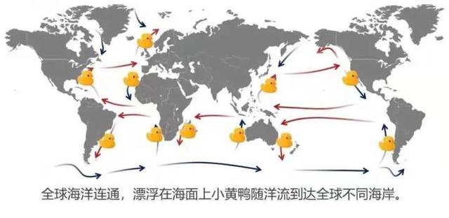 核废水入海会影响我们餐桌吗？看懂全球洋流和渔场你就会有答案