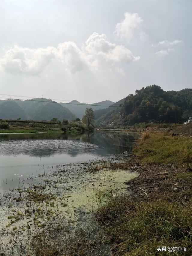 野河爽钓“黄金鲫”，用了2个小技巧，一下午不停口