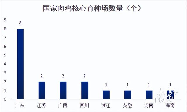 全国领先！揭秘广东白羽肉鸡育种密码