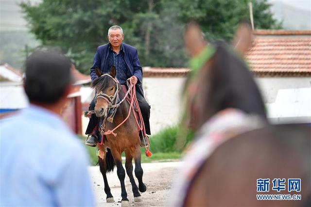 相马“伯乐”李怀智的好日子