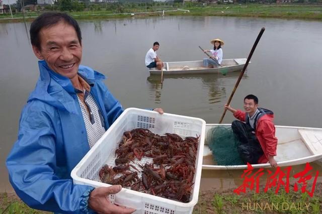 双泉村：利用优势发展产业 泉水小龙虾上市