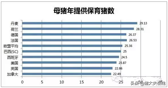 弃其所短，取其所长---世界各国养猪数据大分享