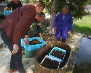 江西哪有龙虾养殖基地(江西省九江市德安县磨溪乡：稻虾养殖添收益，产业发展促扶贫)