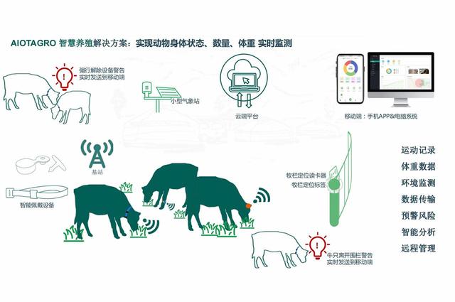 智慧畜牧大揭秘：10个养牛场改造的智能技术