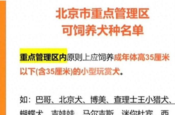 重点管理区宠物狗禁养名单！还有哪些可选？