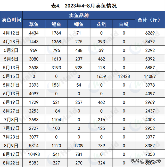 养殖150天，每10天卖1次鱼！低迷行情下如何赶高价、增效益？