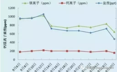 一塘产虾三千多斤！看山东“养虾大王”是如何做到的