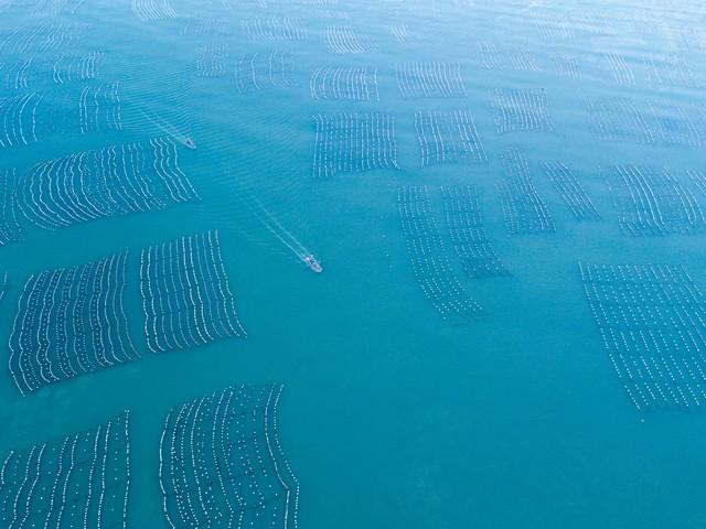 新疆没有海，怎么养海鲜？