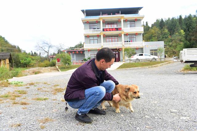 农民大哥把山当做宝，种养殖清一色原生态，大量客人纷纷来做客