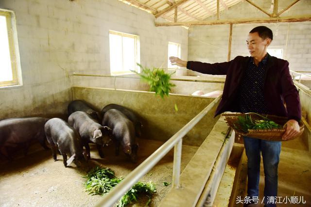 农民大哥把山当做宝，种养殖清一色原生态，大量客人纷纷来做客